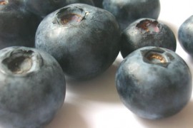 Brain Foods
